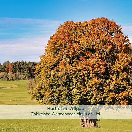 Chalet - Ferienwohnungen - Biohof Stoeger - Panoramasuedbalkon - Grandiose Aussicht Auf See, Berge Und Schloss Neuschwanstein รีเดิน ภายนอก รูปภาพ