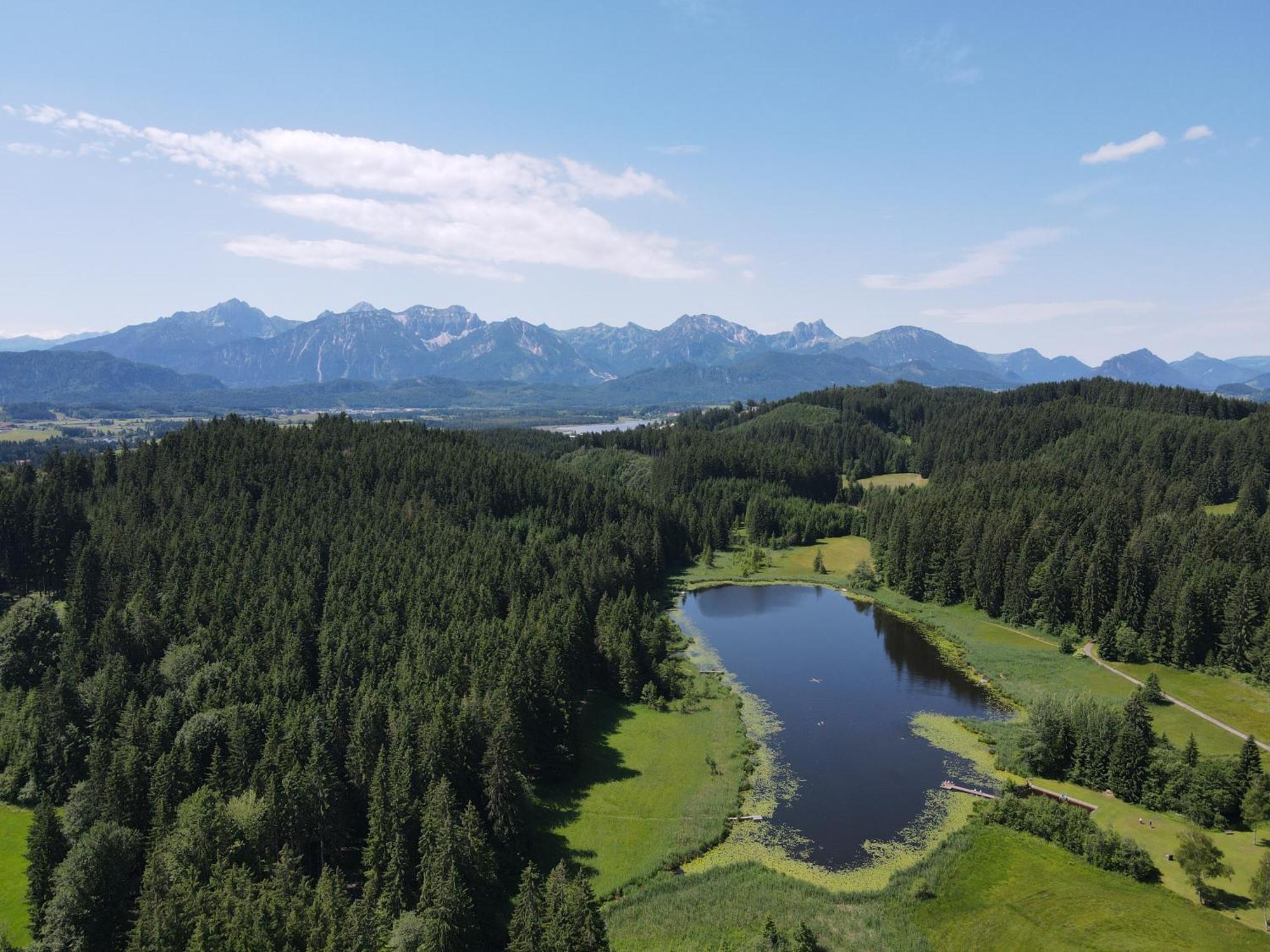 Chalet - Ferienwohnungen - Biohof Stoeger - Panoramasuedbalkon - Grandiose Aussicht Auf See, Berge Und Schloss Neuschwanstein รีเดิน ภายนอก รูปภาพ