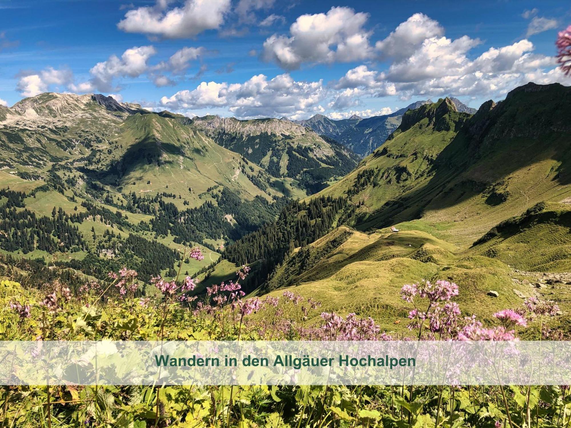 Chalet - Ferienwohnungen - Biohof Stoeger - Panoramasuedbalkon - Grandiose Aussicht Auf See, Berge Und Schloss Neuschwanstein รีเดิน ภายนอก รูปภาพ