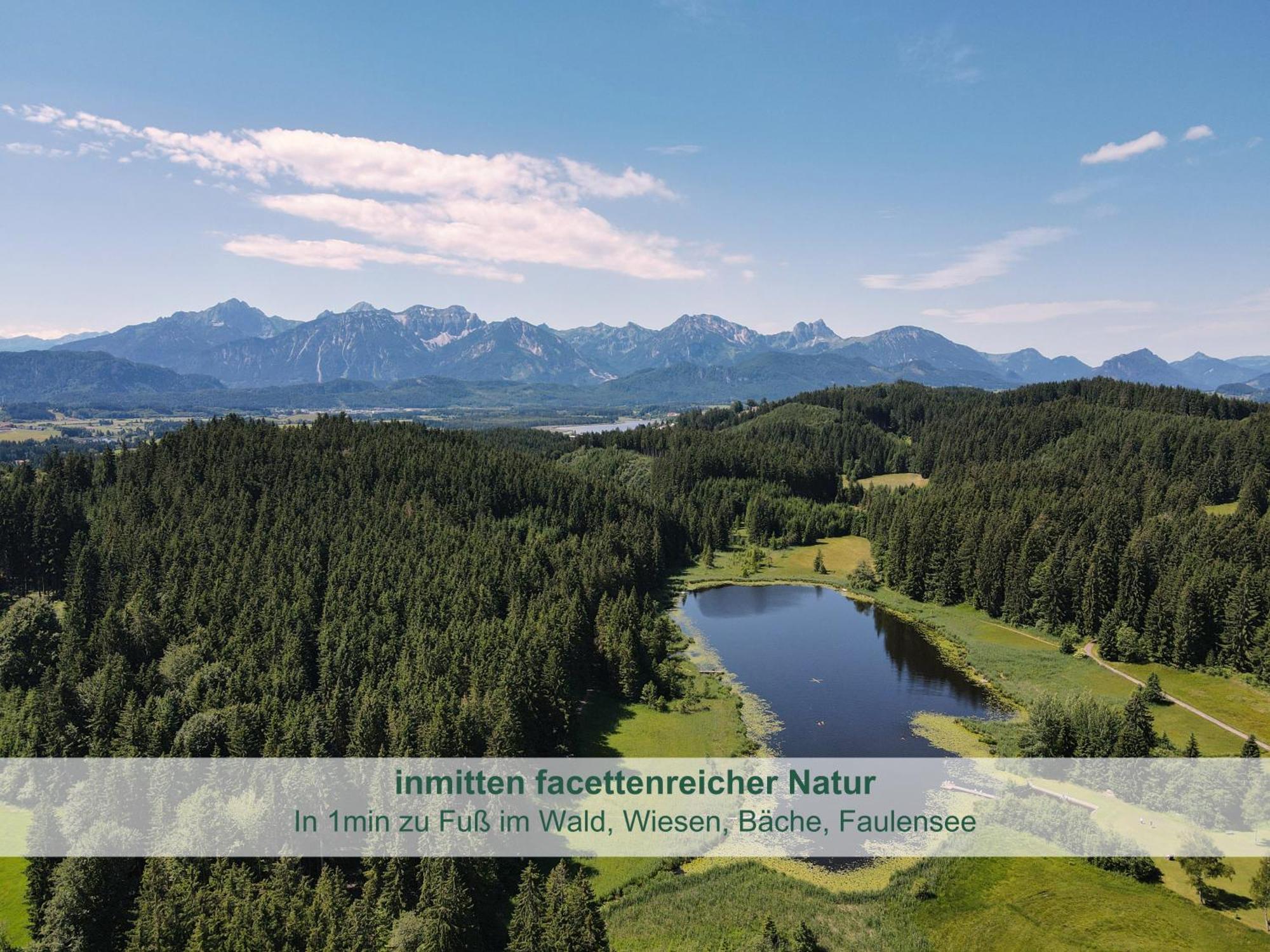 Chalet - Ferienwohnungen - Biohof Stoeger - Panoramasuedbalkon - Grandiose Aussicht Auf See, Berge Und Schloss Neuschwanstein รีเดิน ภายนอก รูปภาพ