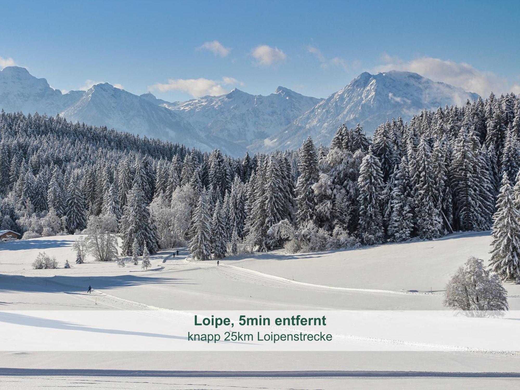 Chalet - Ferienwohnungen - Biohof Stoeger - Panoramasuedbalkon - Grandiose Aussicht Auf See, Berge Und Schloss Neuschwanstein รีเดิน ภายนอก รูปภาพ