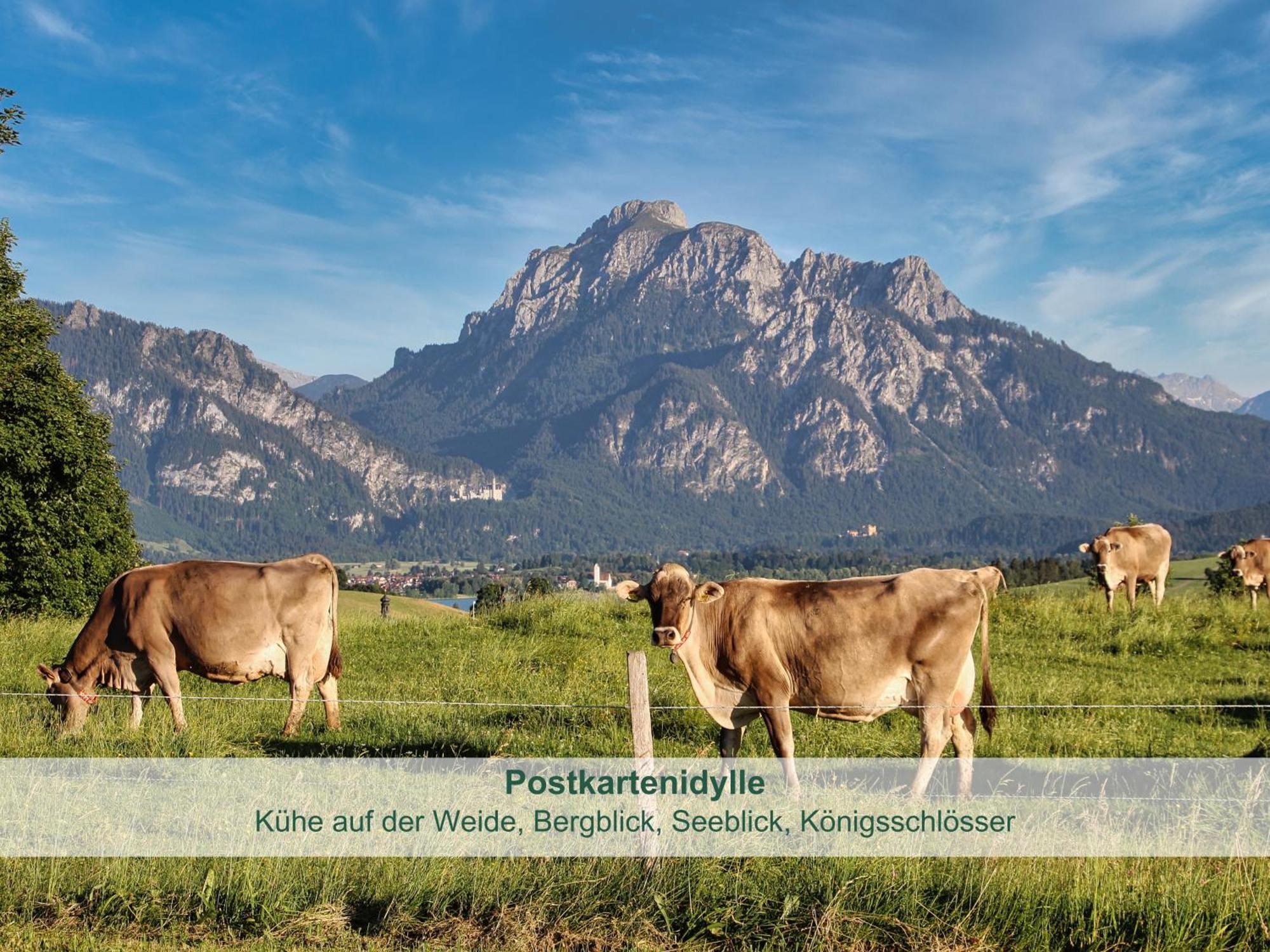 Chalet - Ferienwohnungen - Biohof Stoeger - Panoramasuedbalkon - Grandiose Aussicht Auf See, Berge Und Schloss Neuschwanstein รีเดิน ภายนอก รูปภาพ