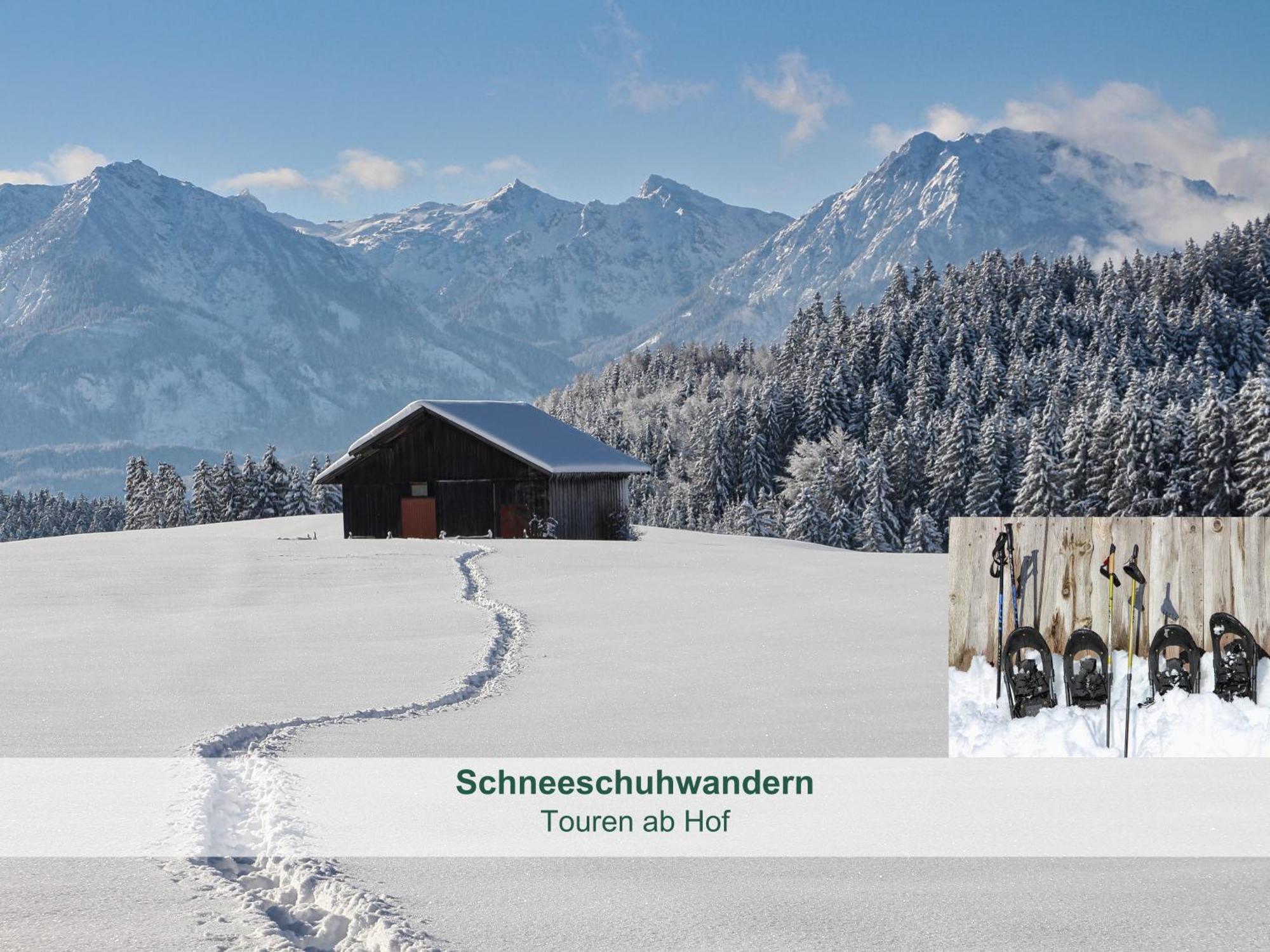 Chalet - Ferienwohnungen - Biohof Stoeger - Panoramasuedbalkon - Grandiose Aussicht Auf See, Berge Und Schloss Neuschwanstein รีเดิน ภายนอก รูปภาพ