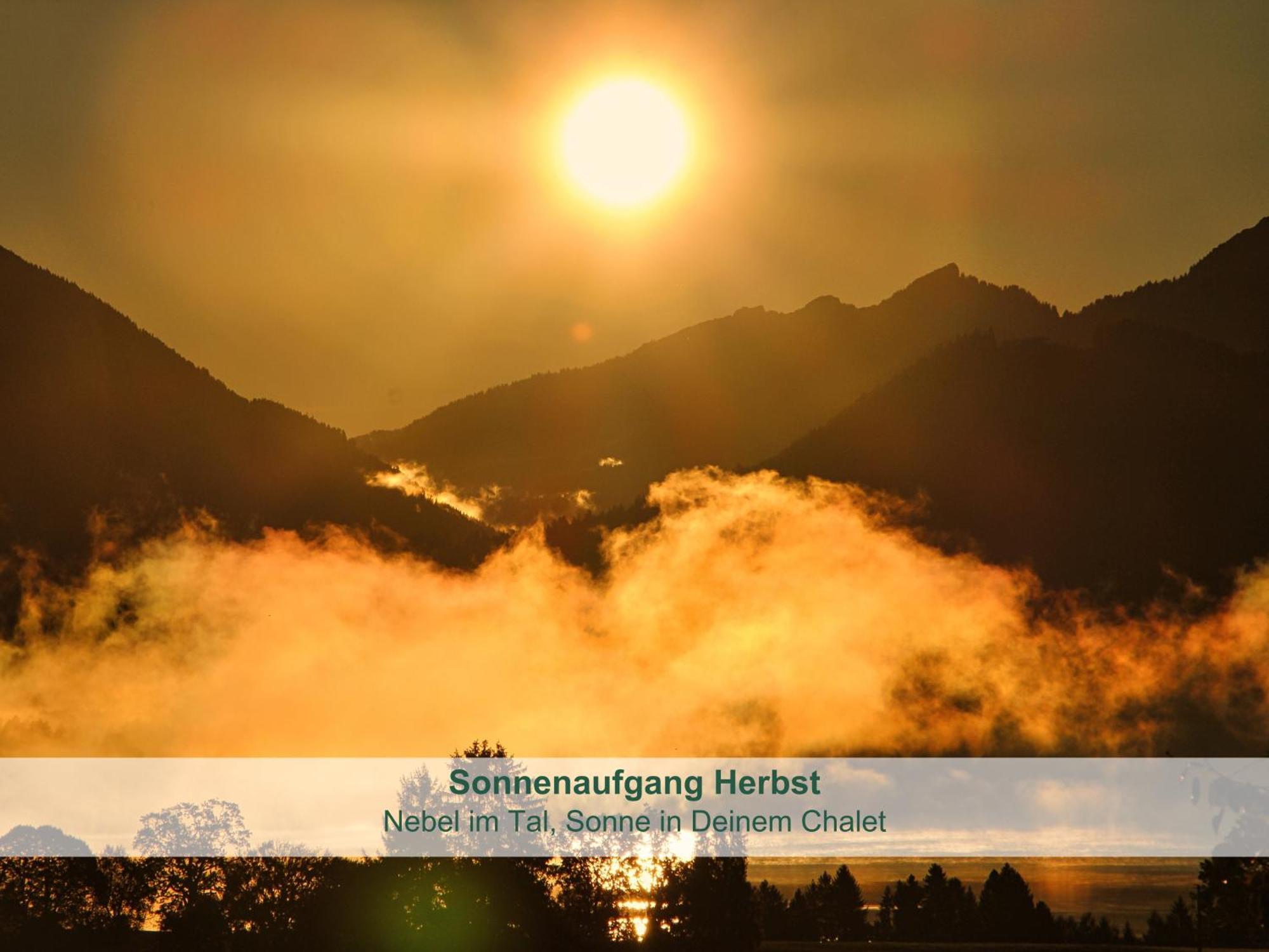Chalet - Ferienwohnungen - Biohof Stoeger - Panoramasuedbalkon - Grandiose Aussicht Auf See, Berge Und Schloss Neuschwanstein รีเดิน ภายนอก รูปภาพ